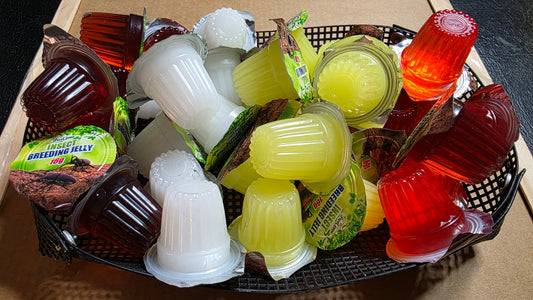 Choosing the Right Insect Jelly