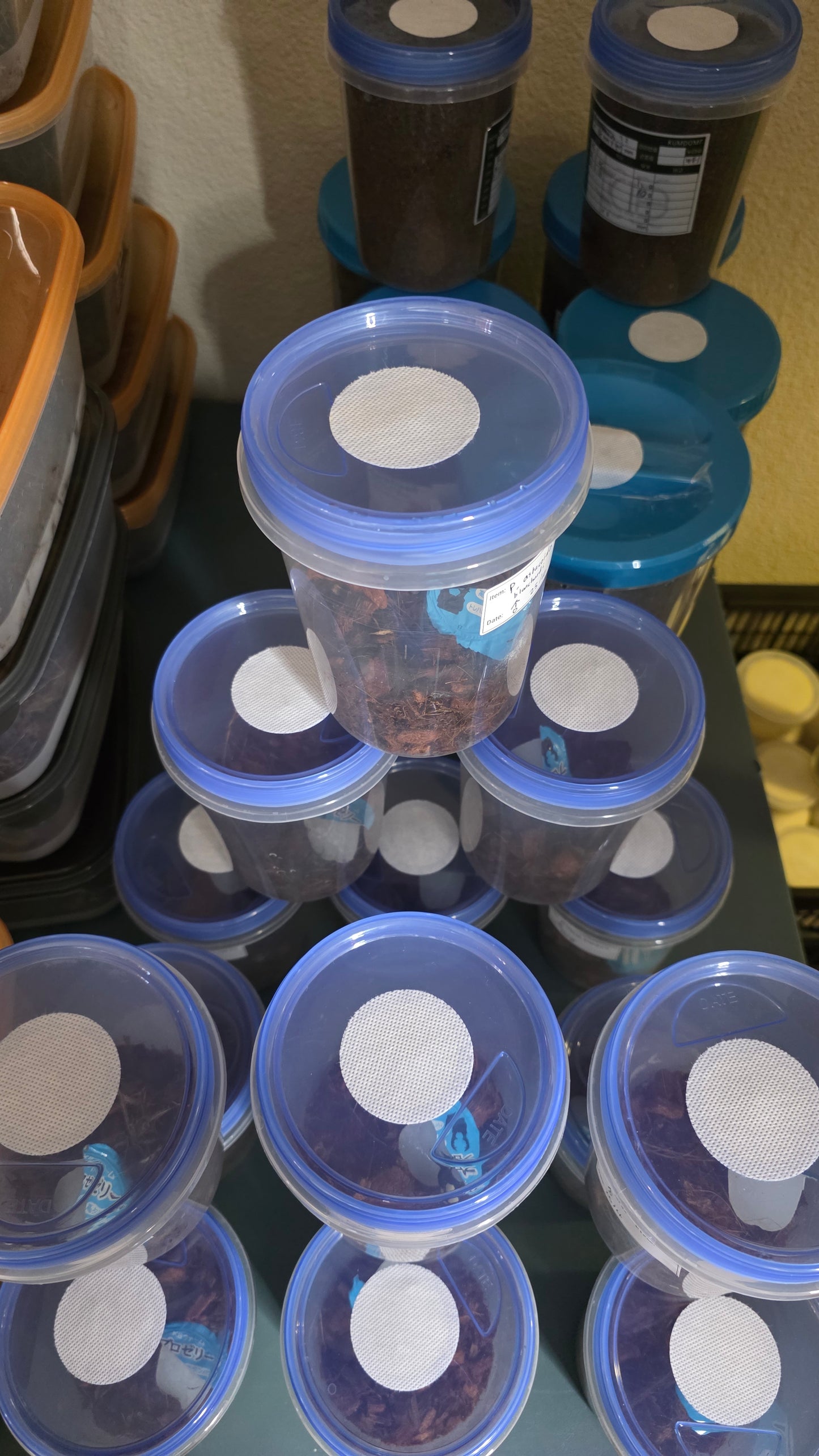 ▶ Insect Container Seal (Pest-Proof Seal)