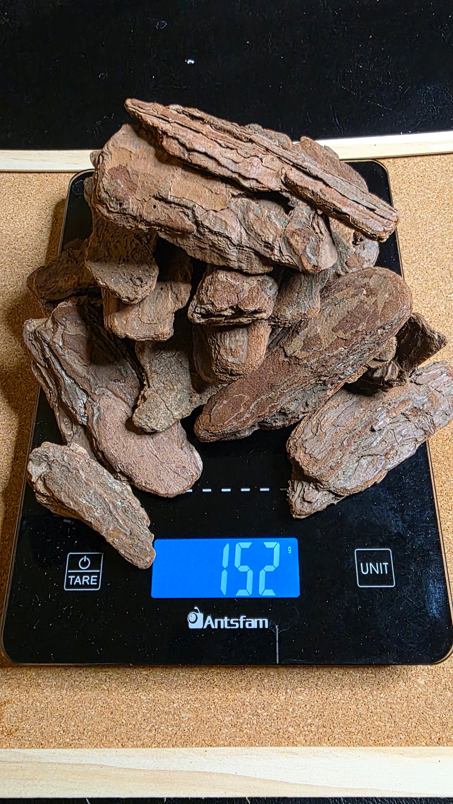 ▶ Large Orchid Bark