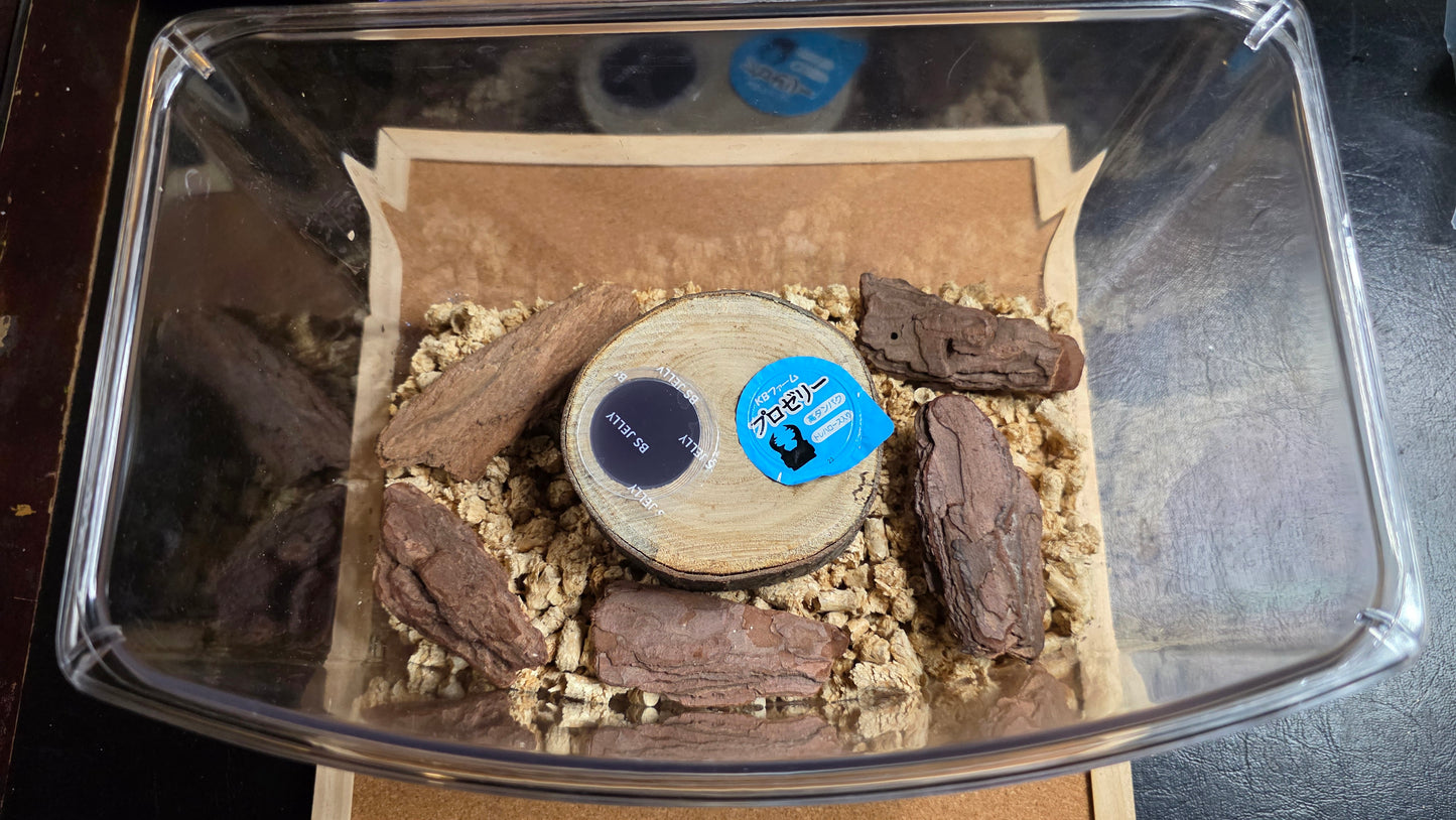 ▶ Natural Wood Jelly Holder