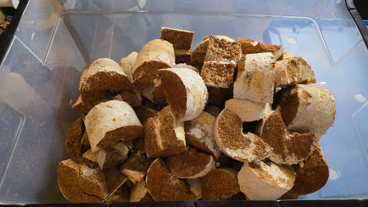 ▶ (expt ver.) LB Mushroom Flake Soil (1 gallon / Nutritionally fermented substrate)