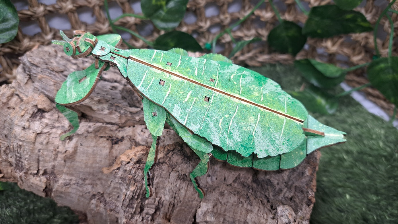 โถ Phylliidae - High Quality 3D Wooden Insects Puzzle (2024 ver.)