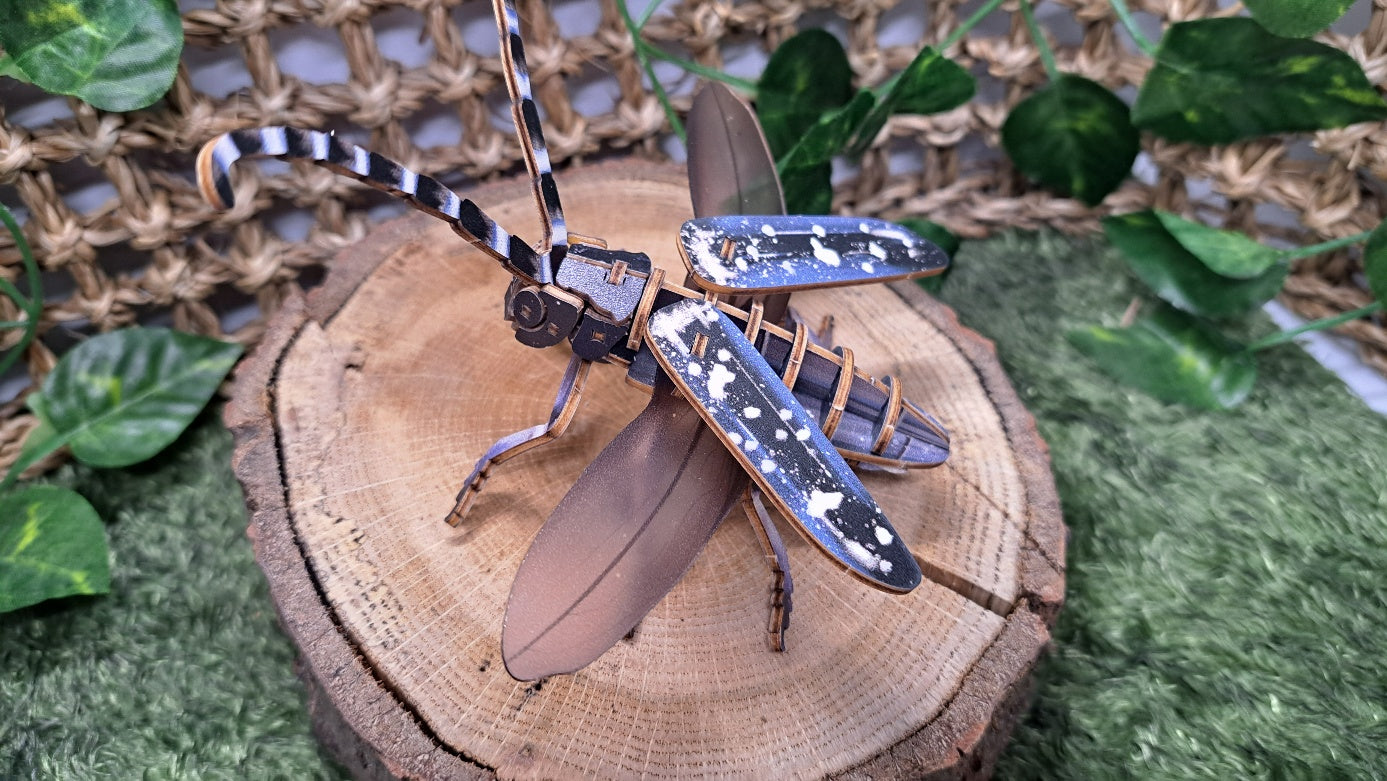▶ Longhorn beetle - High Quality 3D Wooden Insects Puzzle (2024 ver.)