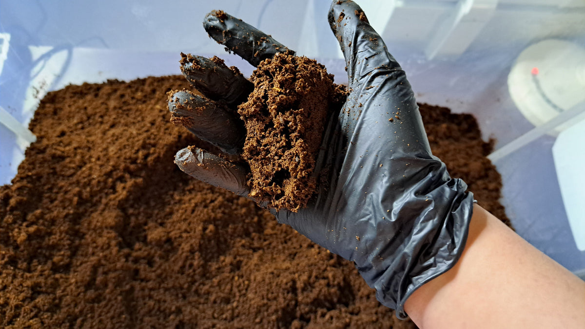 Flake Insect How to use flake soil – LB Insect Supply