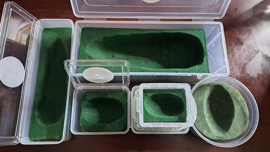 Supplies for Pupae