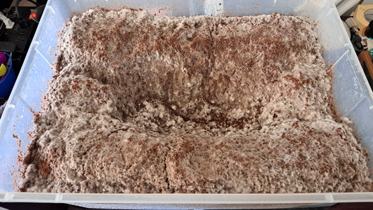 How to Tell if Fermentation Is Going Well.