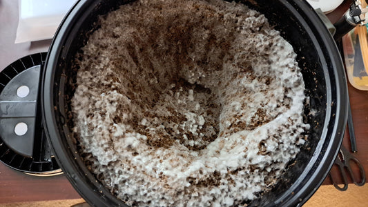 How to tell if fermentation is going well