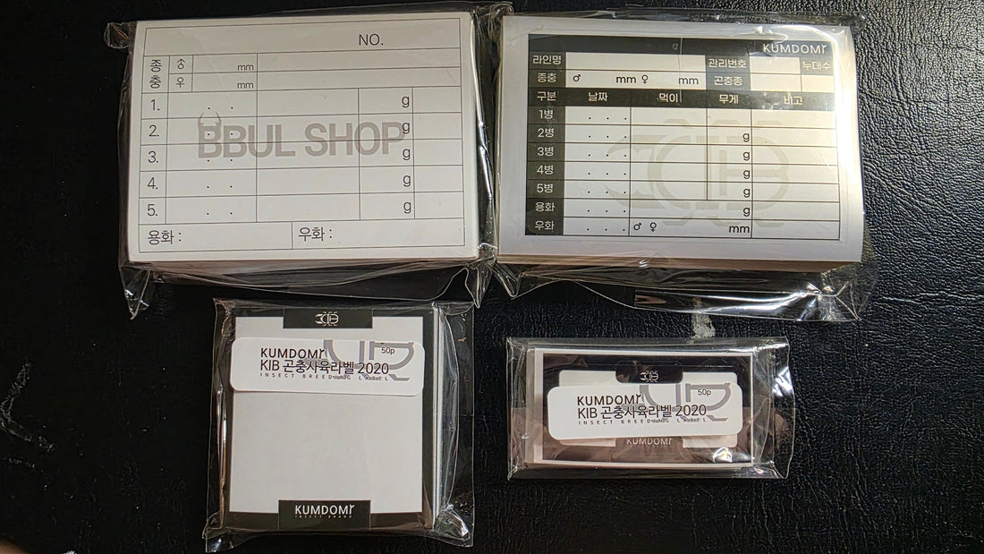 Must-Have Supplies