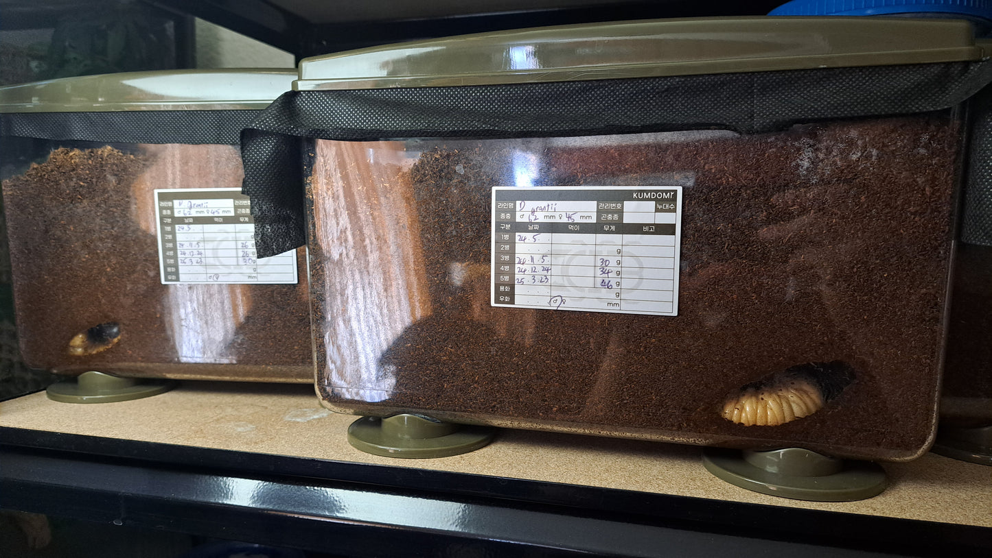 ▶ KIB Breeding Label