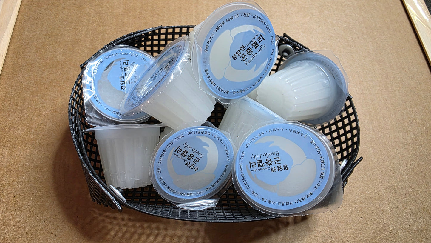 ▶ CA& Insect Jelly