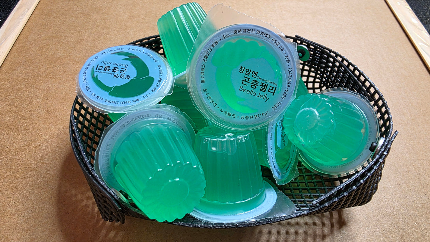 ▶ CA& Insect Jelly