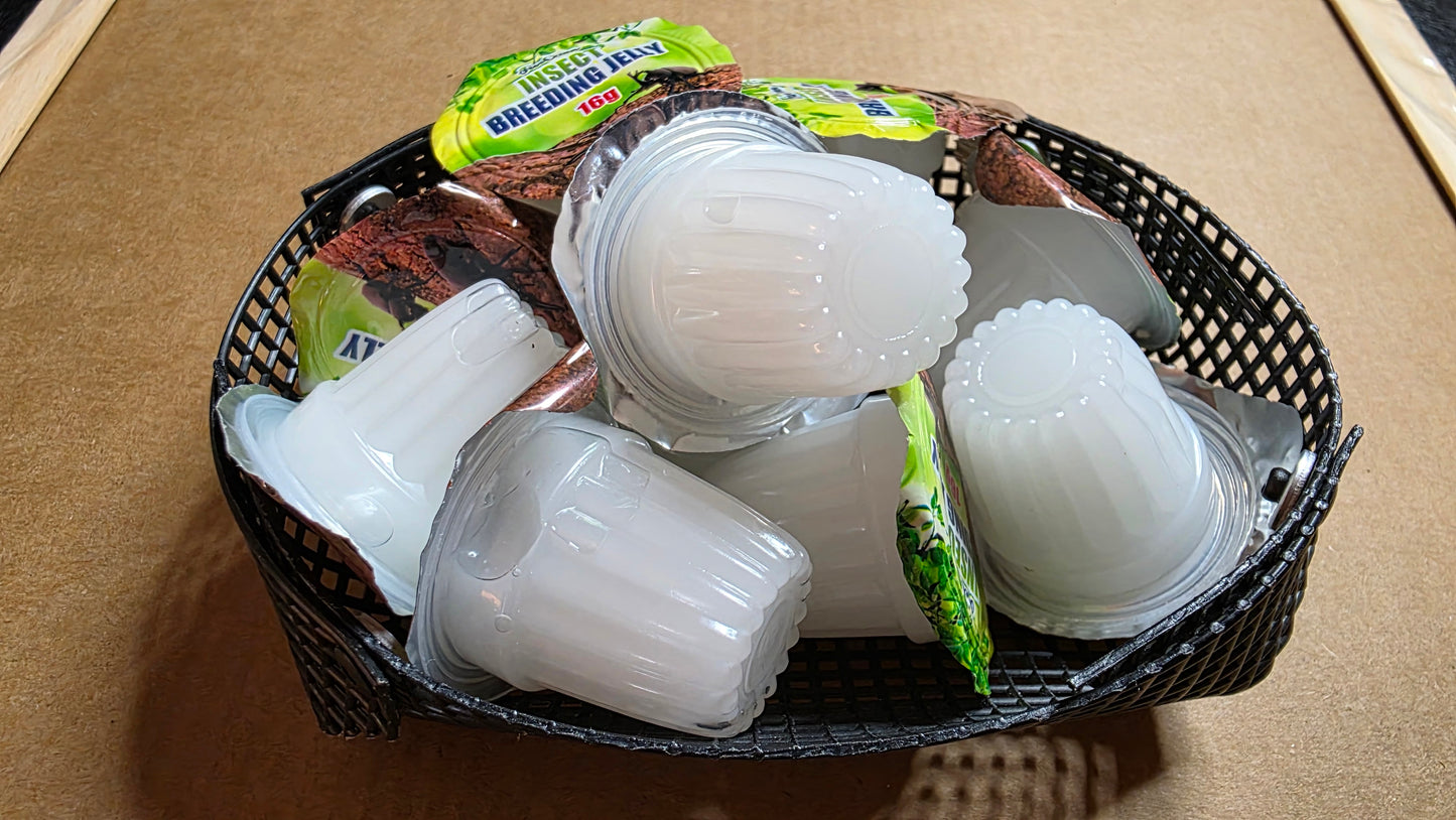 ▶  Pro Insect Jelly