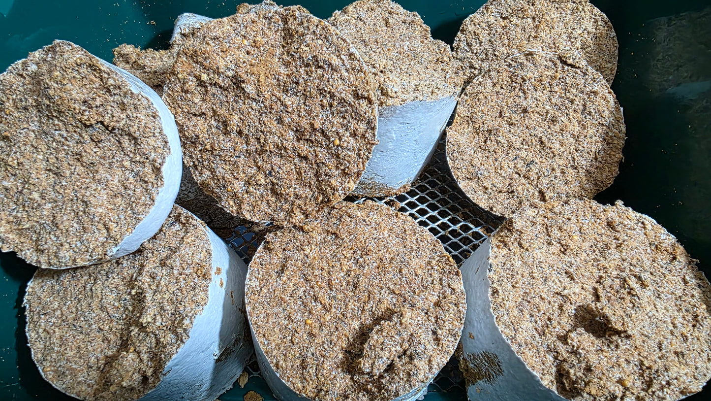 ▶ LB Flake Soil (1 gallon / Nutritionally fermented substrate)