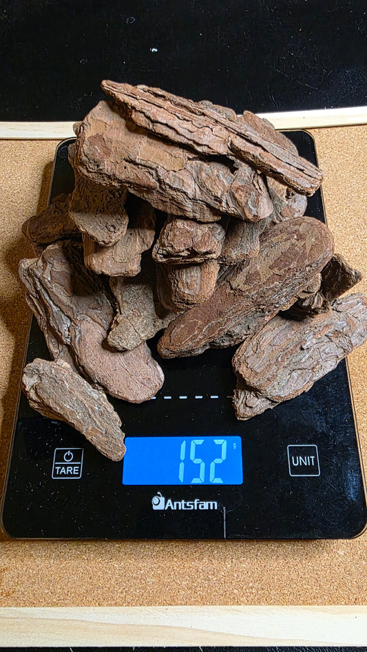 ▶ Large Orchid Bark
