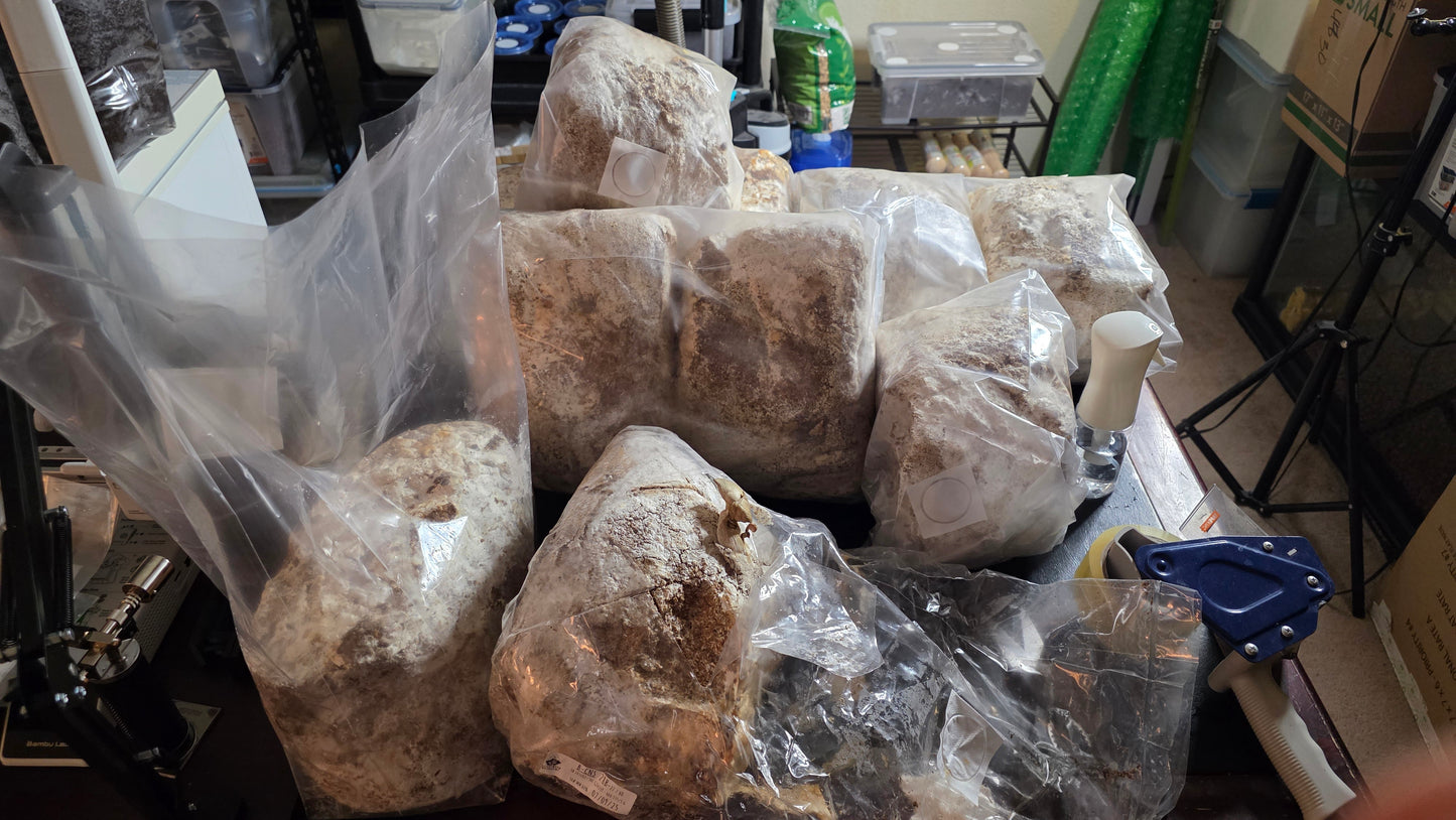 ▶ (expt ver.) LB Mushroom Flake Soil (1 gallon / Nutritionally fermented substrate)