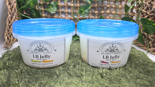 ▶ LB Jelly - Premium Beetle Food (For All Beetle types)