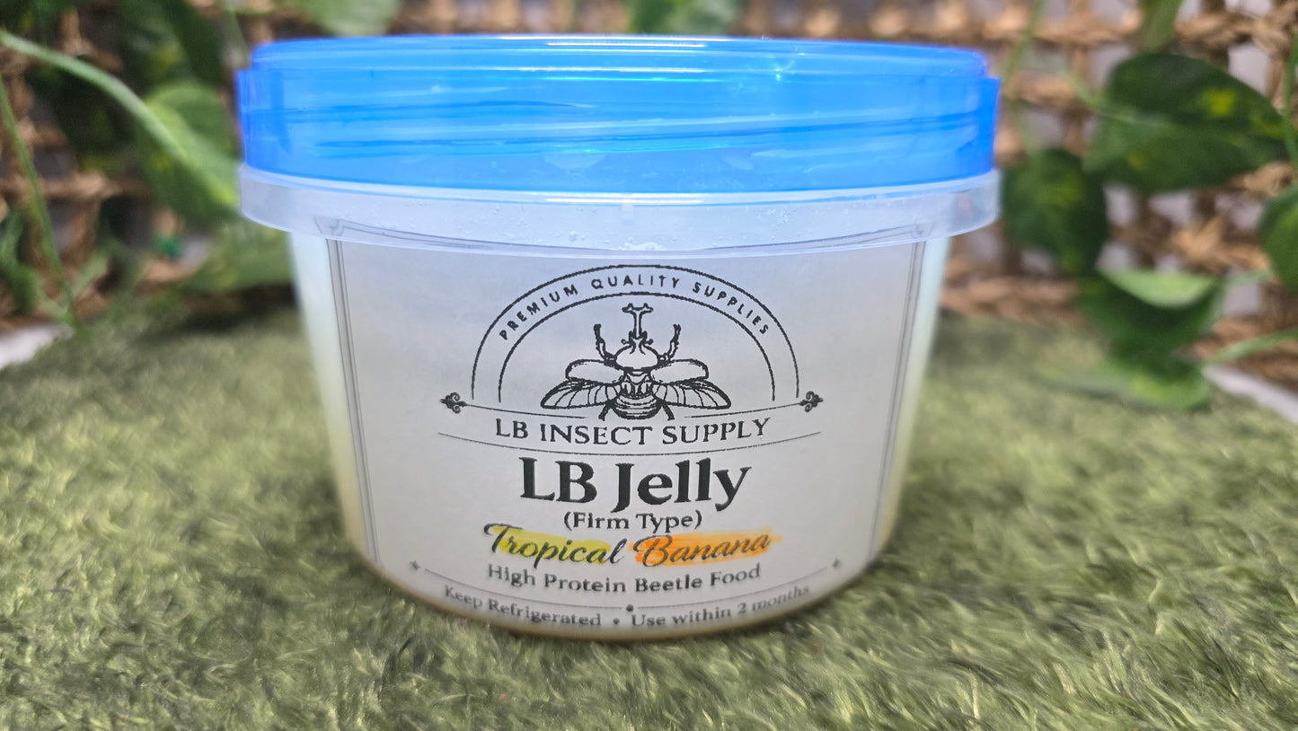 ▶ LB Jelly - Premium Beetle Food (For All Beetle types)