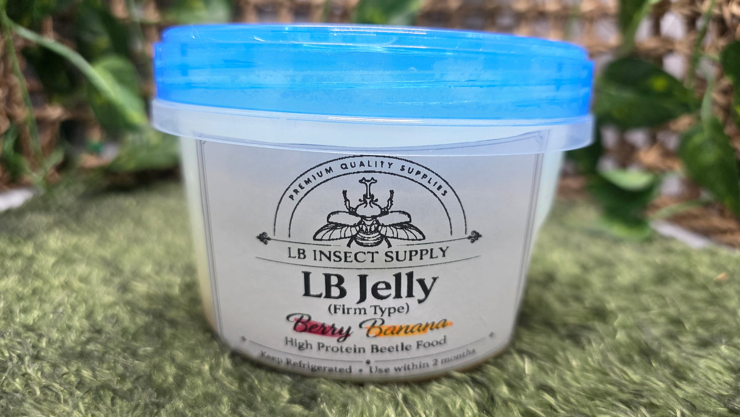 ▶ LB Jelly - Premium Beetle Food (For All Beetle types)