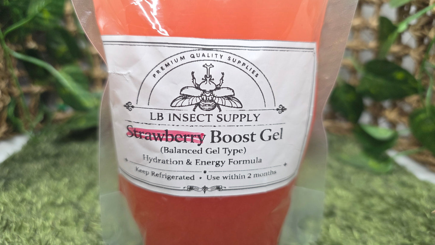 ▶ LB Gel - Premium Beetle Food (For Rhino & Flower beetle types)