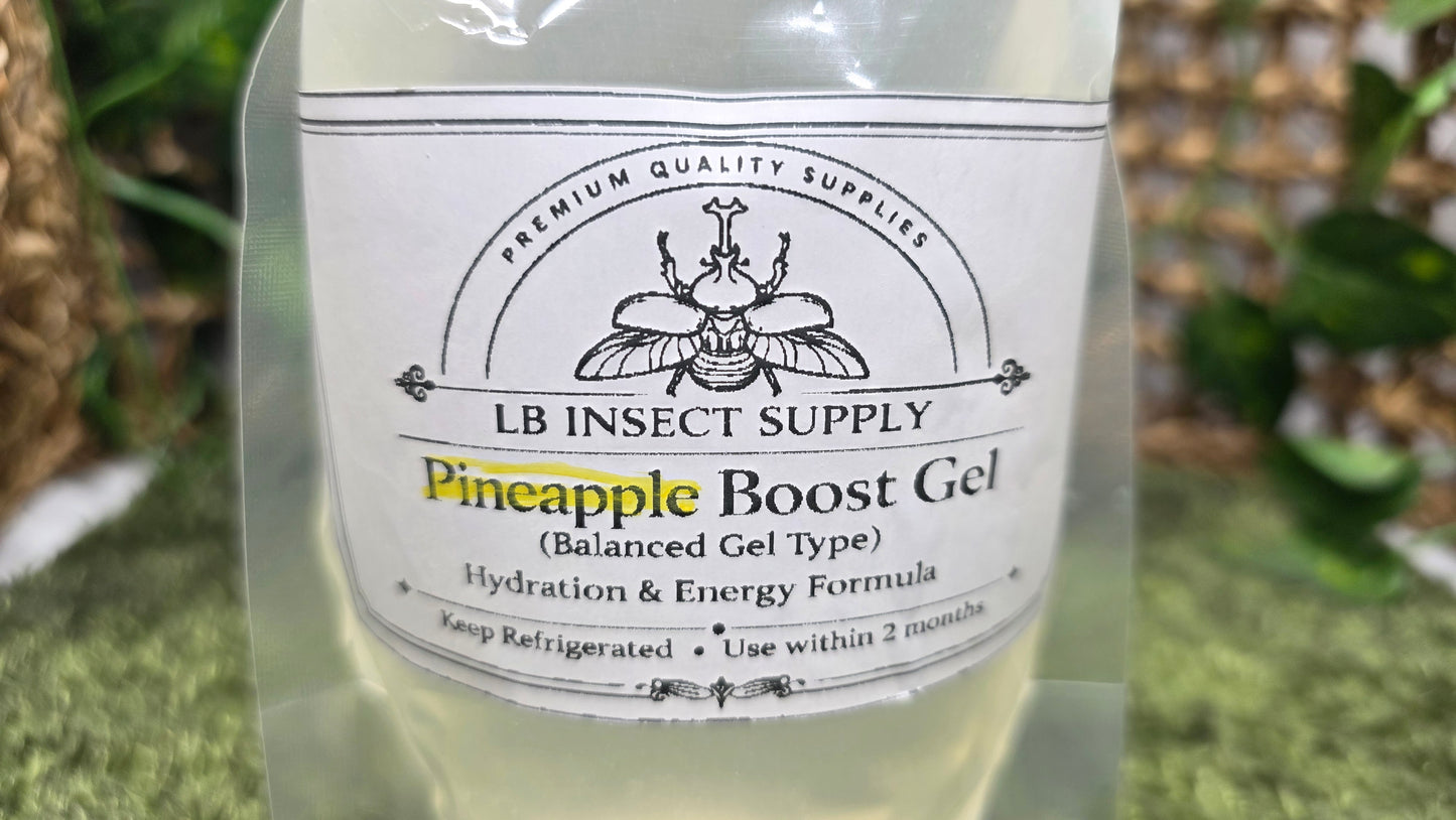 ▶ LB Gel - Premium Beetle Food (For Rhino & Flower beetle types)