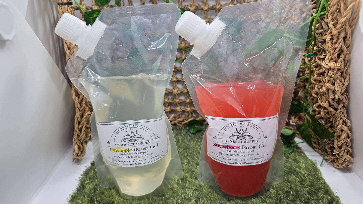 ▶ LB Gel - Premium Beetle Food (For Rhino & Flower beetle types)
